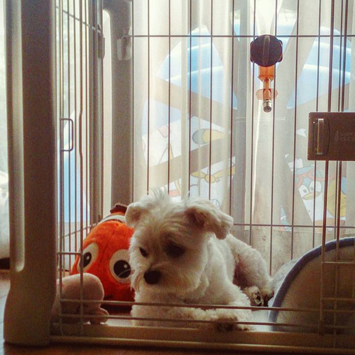 1136463a cef9 4f92 ae8f 39edb475dc9c