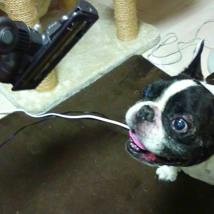 1136a47f 4051 4df4 9d19 217b9d9b2efd