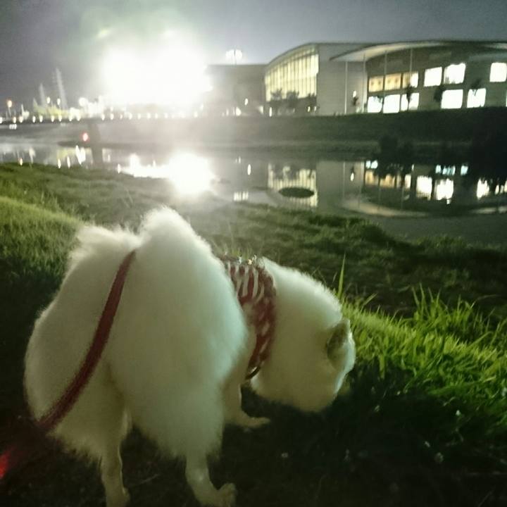 1136a819 379a 4d22 9108 e02fd372f9eb