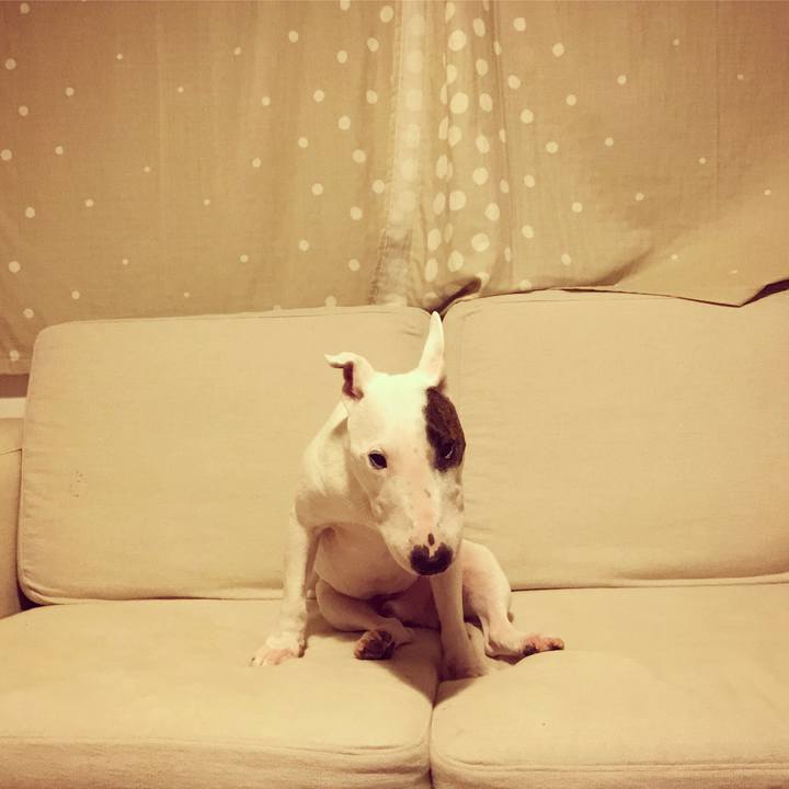 1136d565 8b0a 4bfe b2b0 97e4bb58e69e