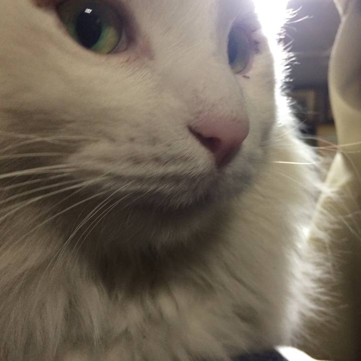 1136ee53 8dd8 487f a053 455ff41969e9