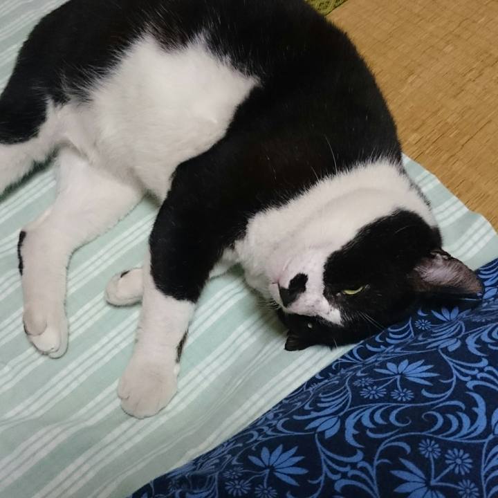 1137005d e06a 4c0d 92fd 1a744c9c687a