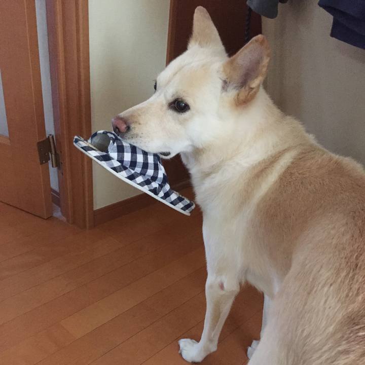 113711f3 f128 4204 bec2 494368267a44