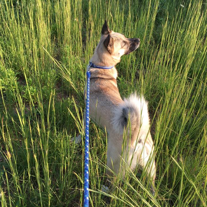 1137b451 6898 4eb1 95d2 3919eb3de4c4