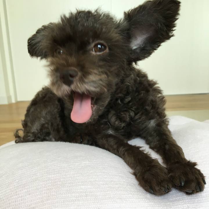 1138417f f2fe 4956 9036 503f56e5442e