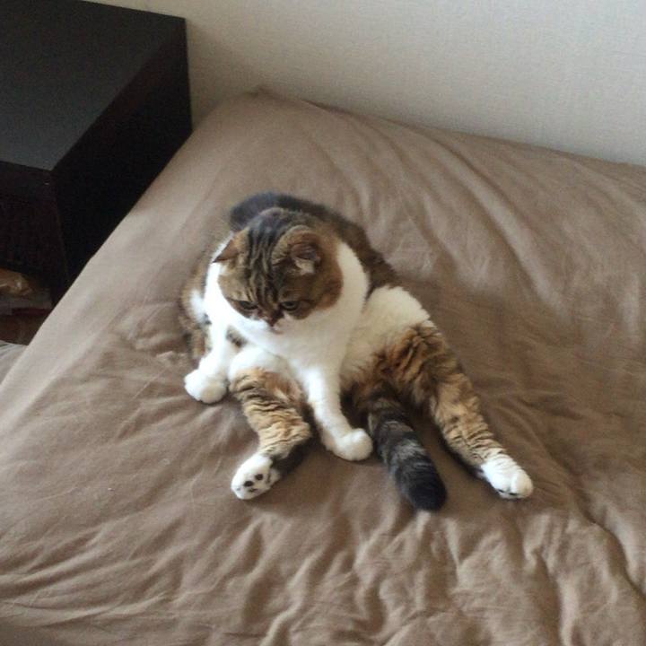 1138980a cc6c 43e3 b96d ff0f6df0eb07