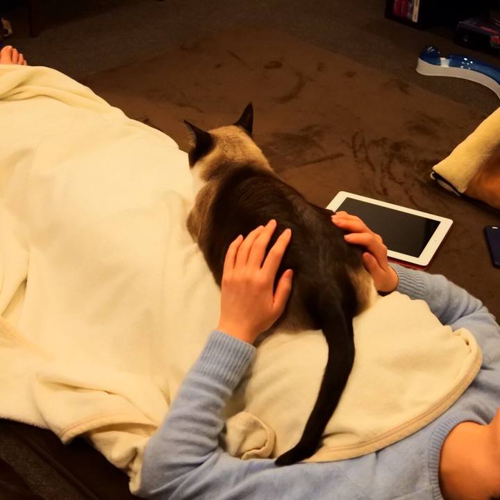 11393a6f f110 42b1 9d0e 376971ee510d