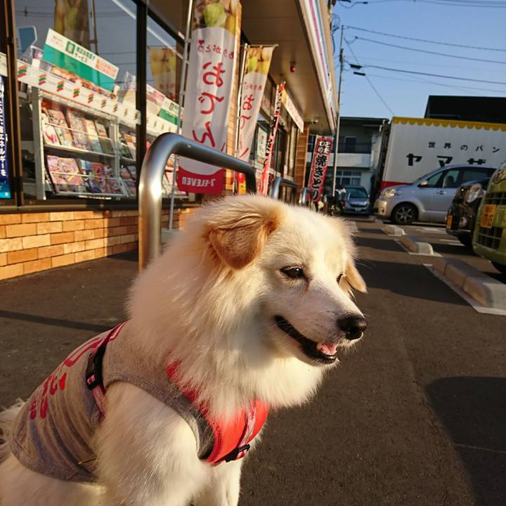 11393ccf 3d1a 424f b600 b6660357e328