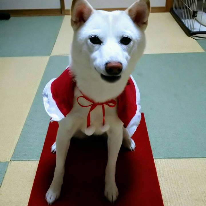 1139b1d8 7f8c 4848 a91f 01671d46ad8f