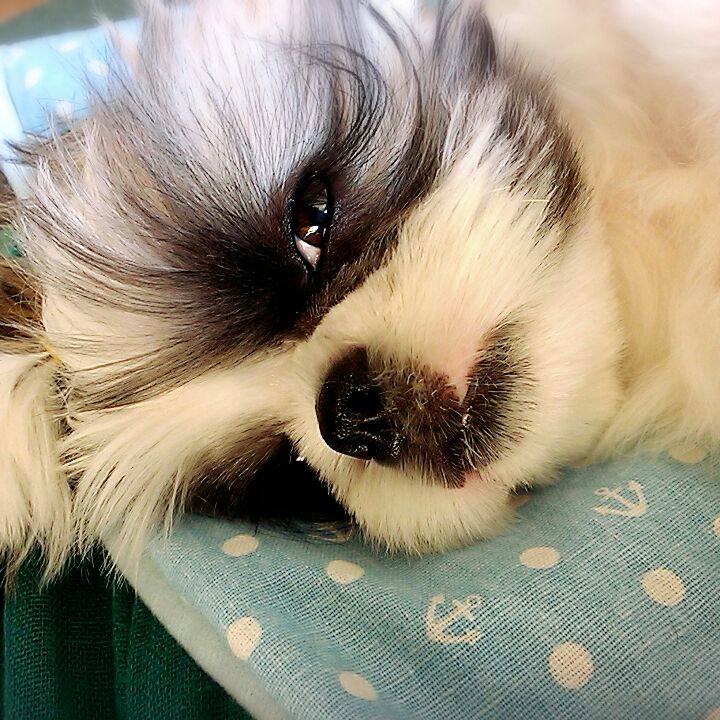 1139dc63 98b7 456a b416 af4907ca10bd