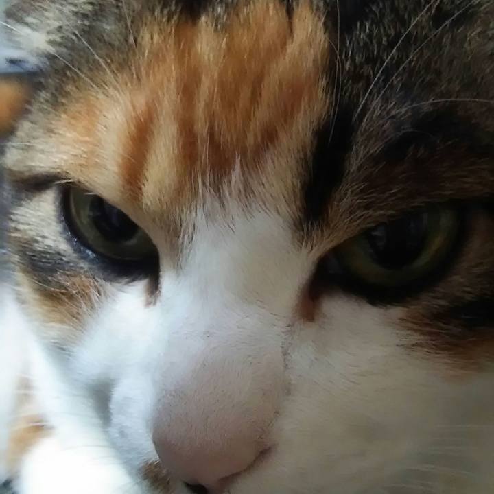 1139f9b6 6e24 4e96 af7e 3e82d9c51d99