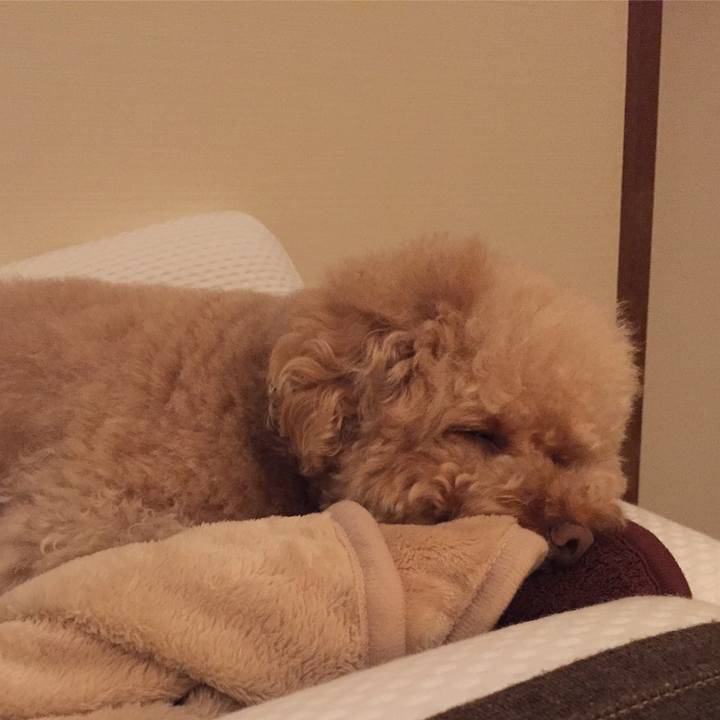 113a2cc9 1c77 4129 8b00 de1b297ce24f