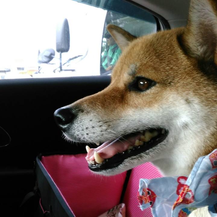 113a95aa ee33 4fd2 9d0c 2ef2a54b80e9