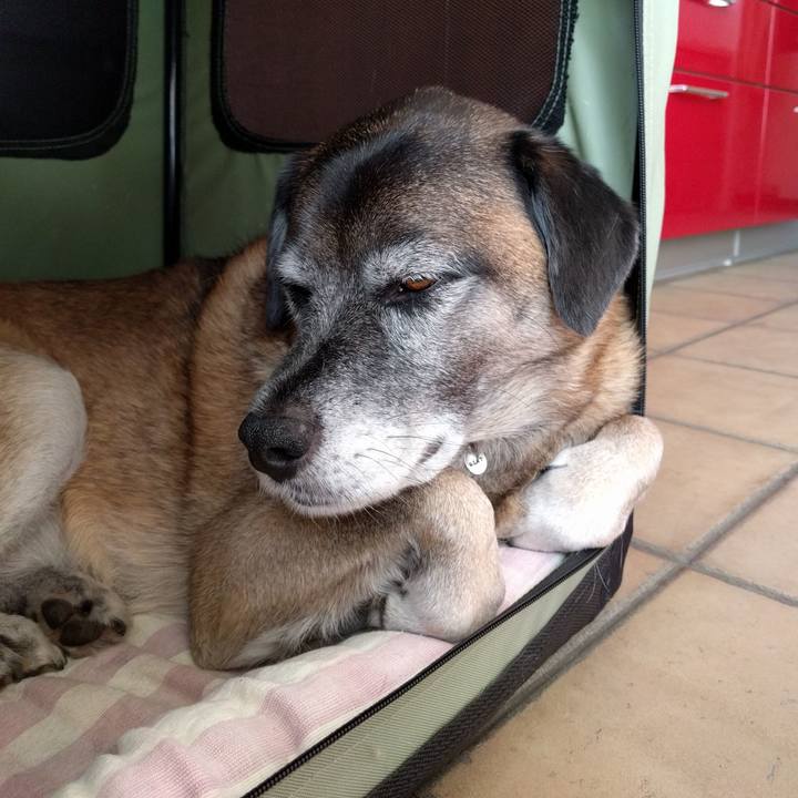 113aa095 deb5 4c12 ad32 116a76885569