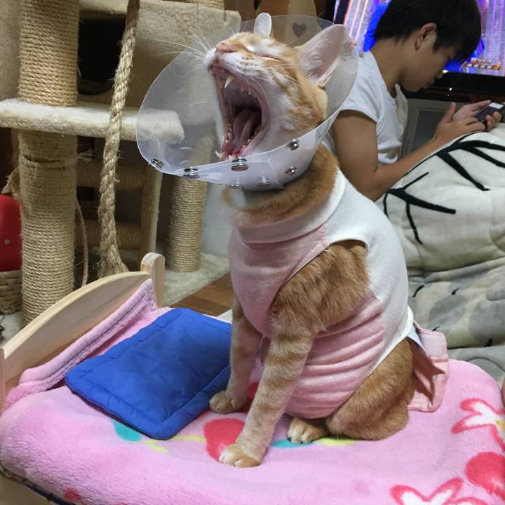 113bbdfb df22 4d6b 8b89 ff0b4424e32f