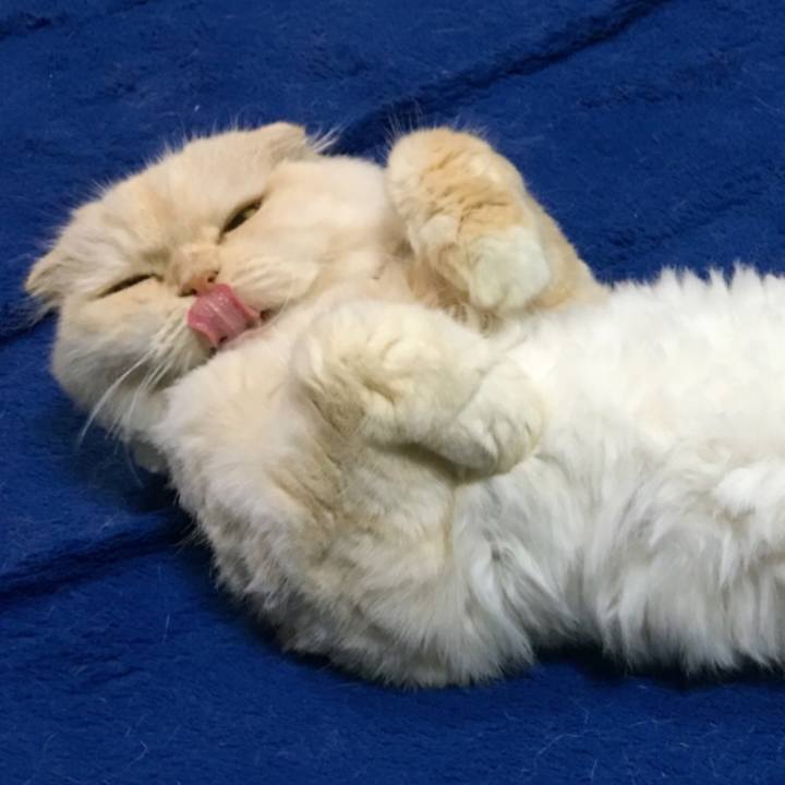 113c5195 064a 4fca 8a05 6c2eb641d32c