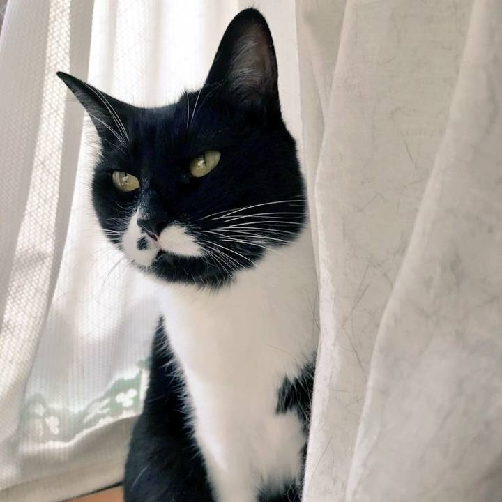 113cf26e 8524 4ebe a36c d0601aa305c4