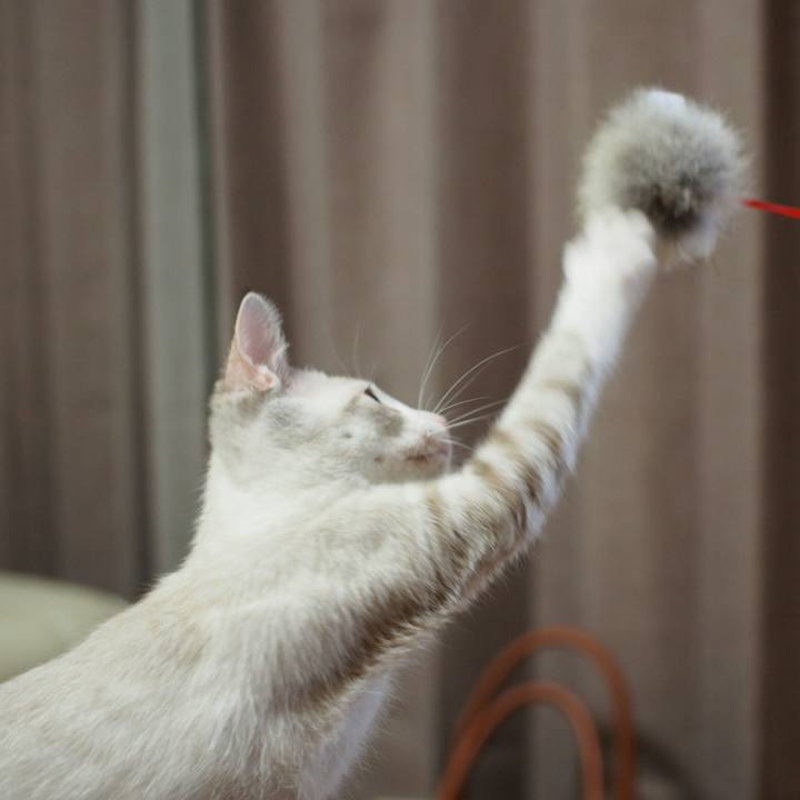 113d1719 44a9 4fdf 8c42 851f069a9869