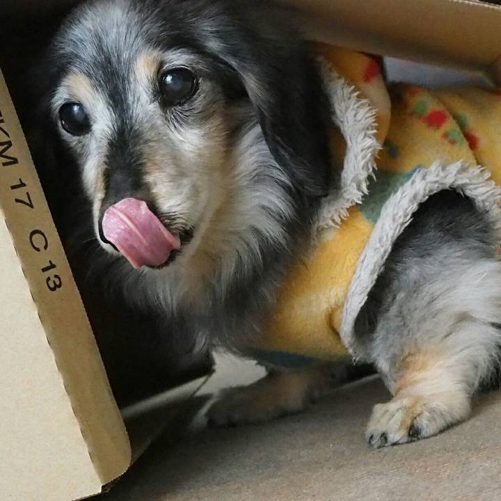 113d27ed 309b 4745 870b 5a9f54caa13b