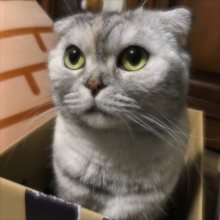 113db602 c4b3 4bc3 8a66 b18a9d4425ca