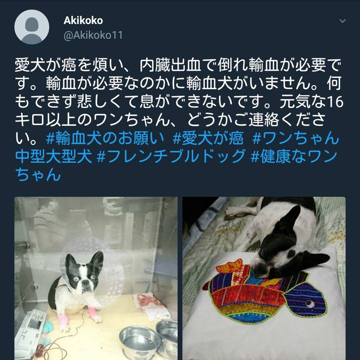 113dc8b3 d16a 4e1b 9043 da3c47e5323f