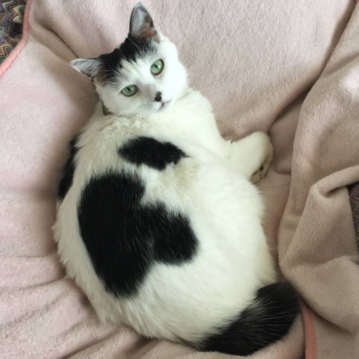 113e0128 9dd1 4c4c 9777 cda7be29c9b3