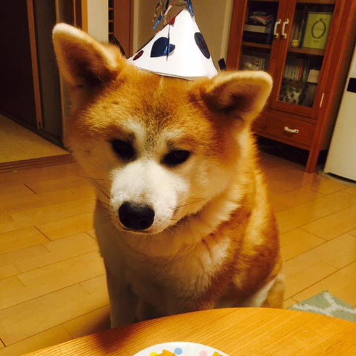 113e6179 f8c0 4718 b3f1 c76e6300aa05