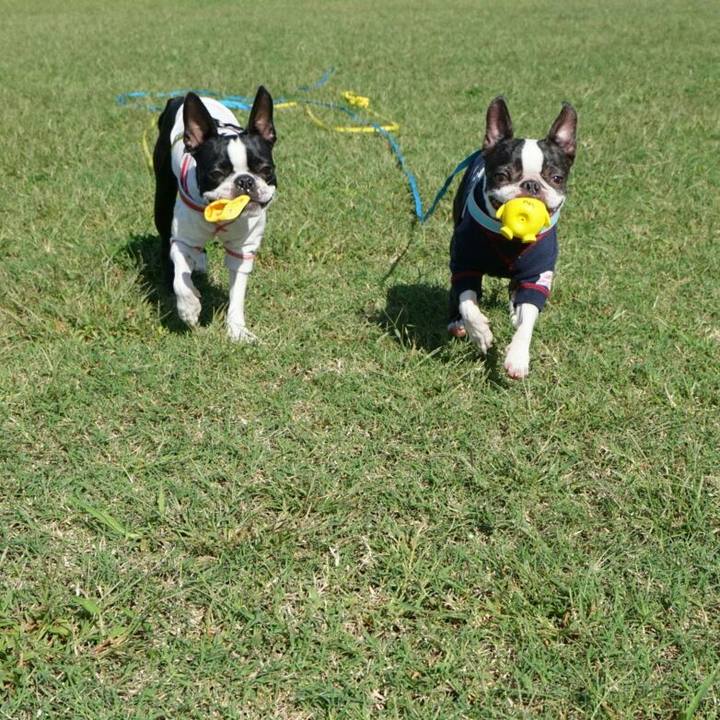 113e90b5 5751 466e b7c2 d9d55dcaa69a