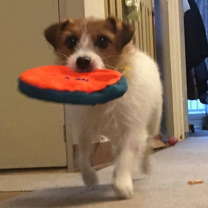 113e9470 d8bf 44ff 9108 eba61ae35eef