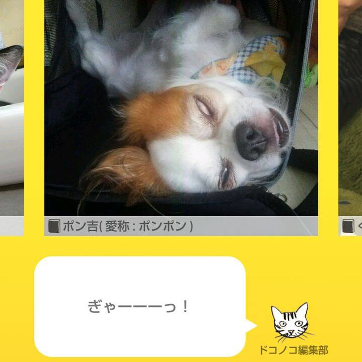 113ec4ae 468c 472a a125 1fdab02eaf1f