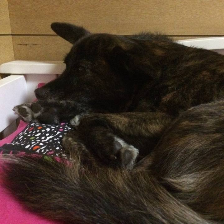 113ed354 3907 42a4 af3d 0953e8e589a5