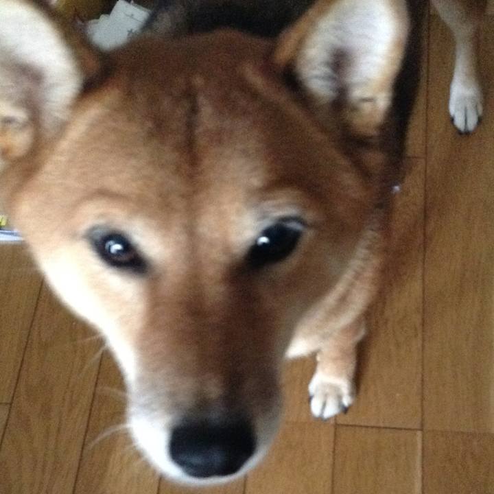 113edbc3 2978 46d5 82fd 9c26a0847c83