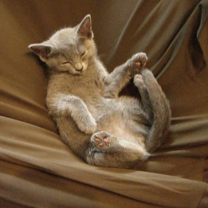 113f1c50 62e5 472c 8469 96c6002c42e1