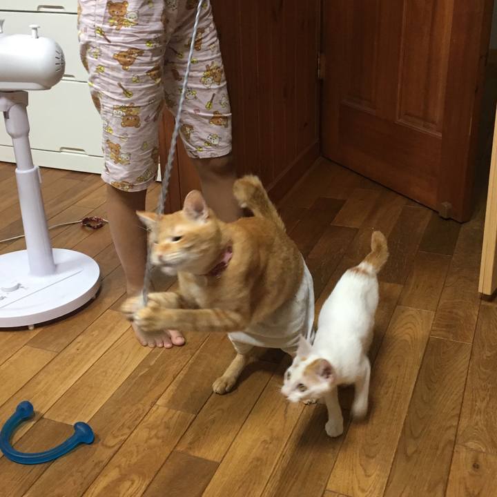 113f452c b4d6 4e8b 9365 7cb450786bcb