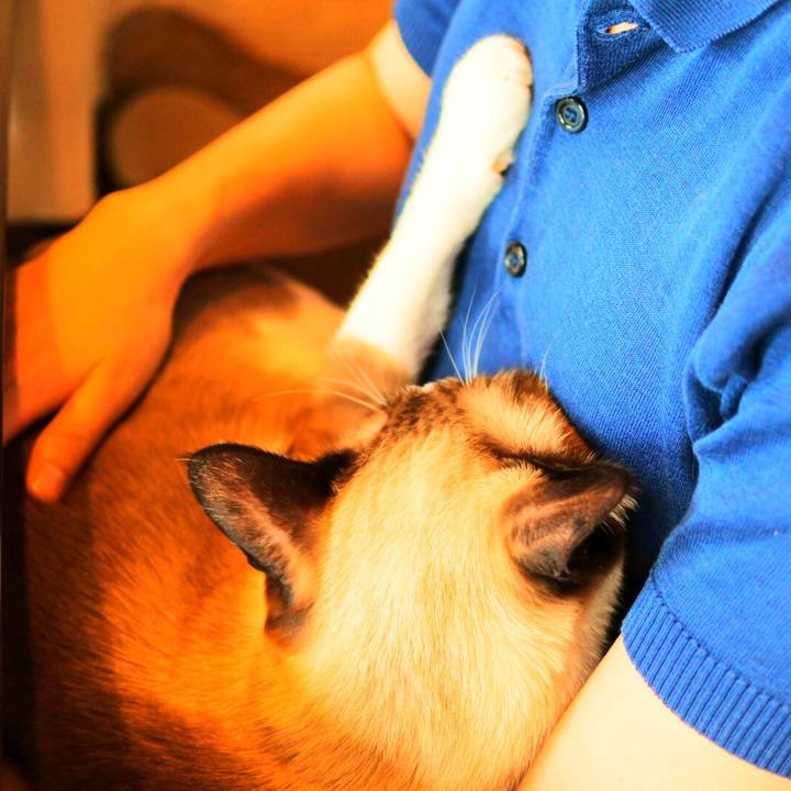 11405462 9b4a 4065 8701 d183c4b987a3