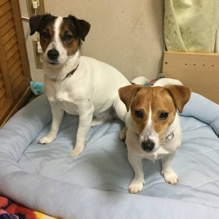 1141a1ff 3992 48f5 8412 cf20b93643aa