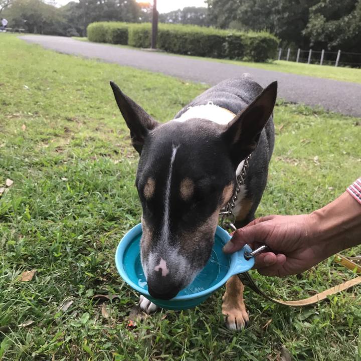 1141d78a b2bc 46e3 9c87 9aefb2191ab1