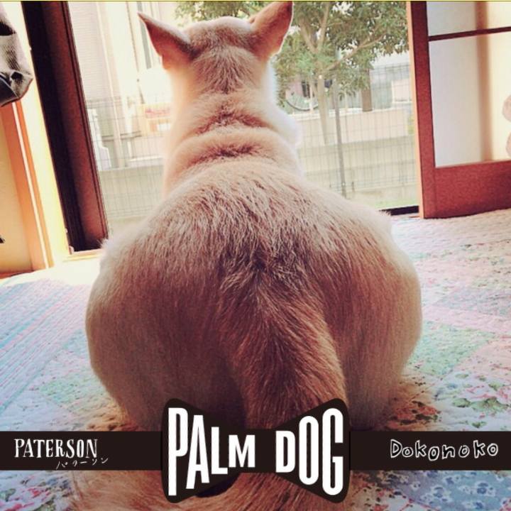 11426453 7c42 4be5 bbb7 4ee75a95222d