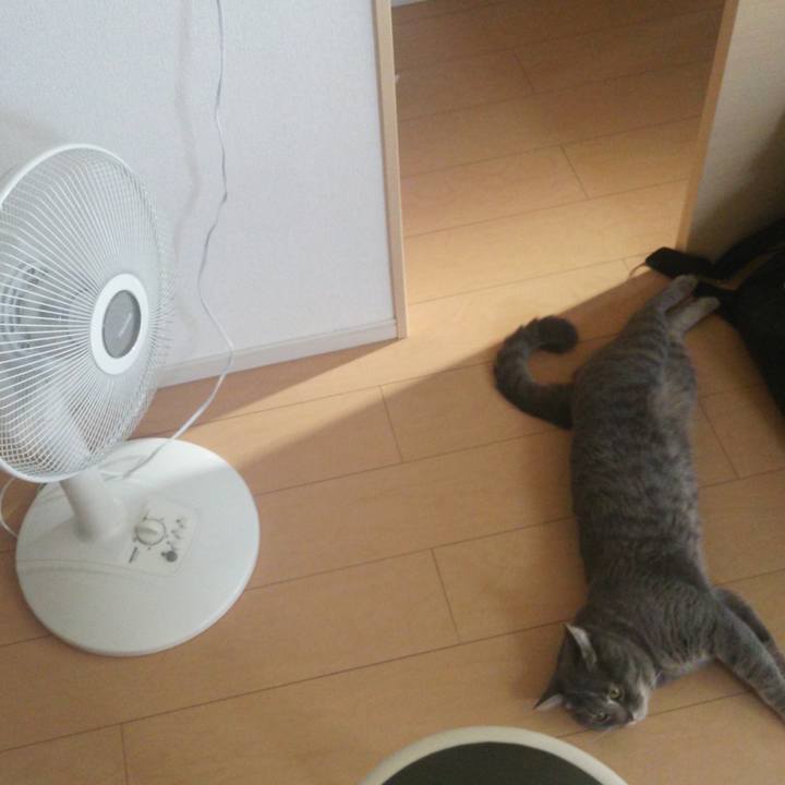 11426f53 d69c 446a aada e45cc4a93c4d