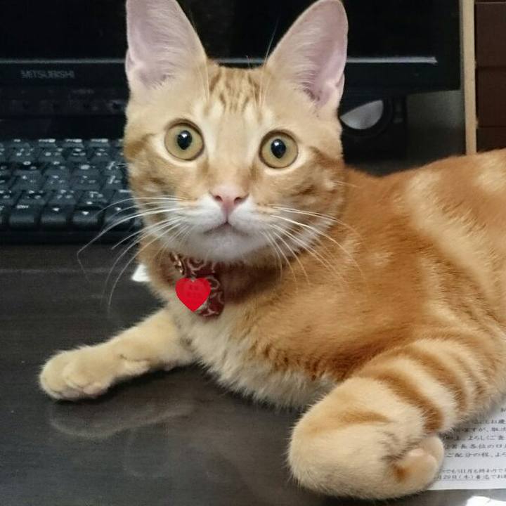 1142a9a1 0453 4190 89a7 d7def3b46d31