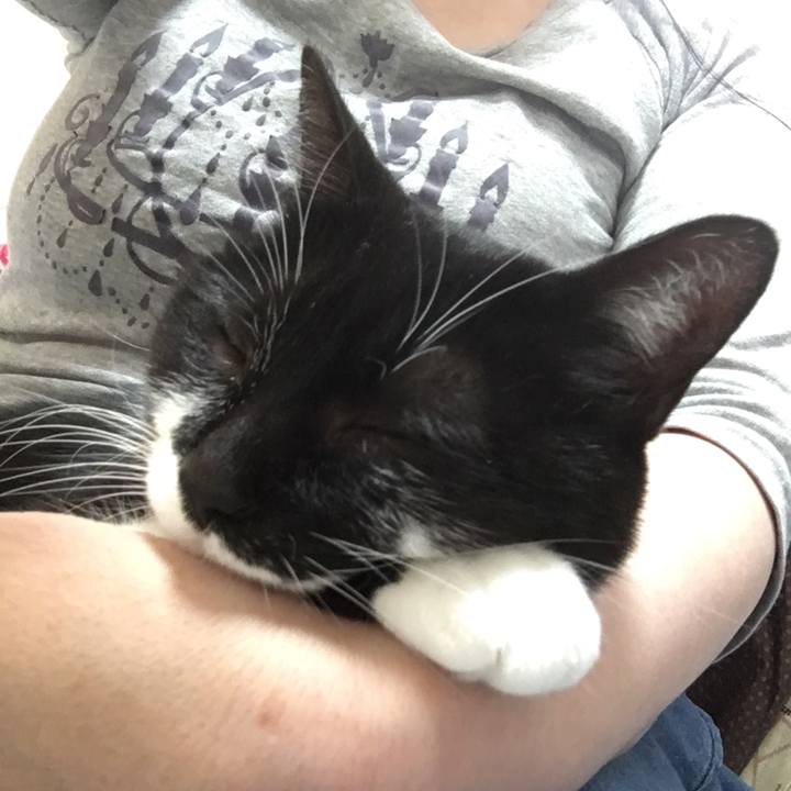 114312d1 371b 4dd1 bd54 a17b28ec1868