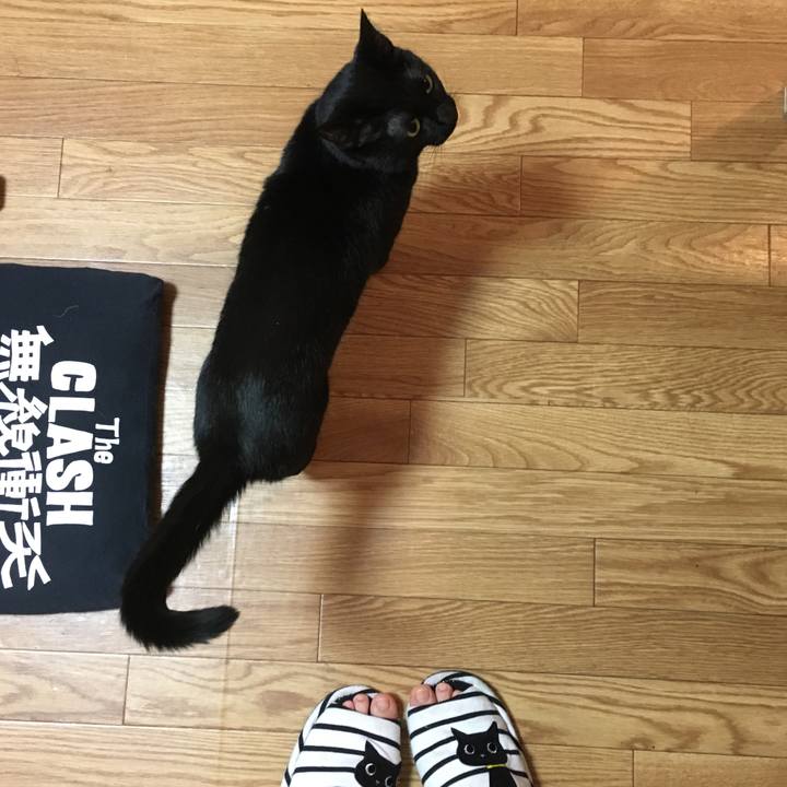 11449201 d4e7 4bcf a357 f52e994d2125