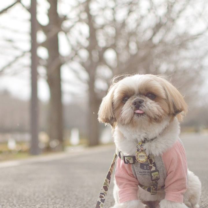 11449334 b22e 4193 8704 06a4ee26cc48