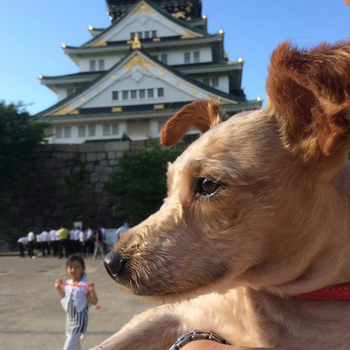 114494af 1a2d 4923 821f eed4e119bbc8