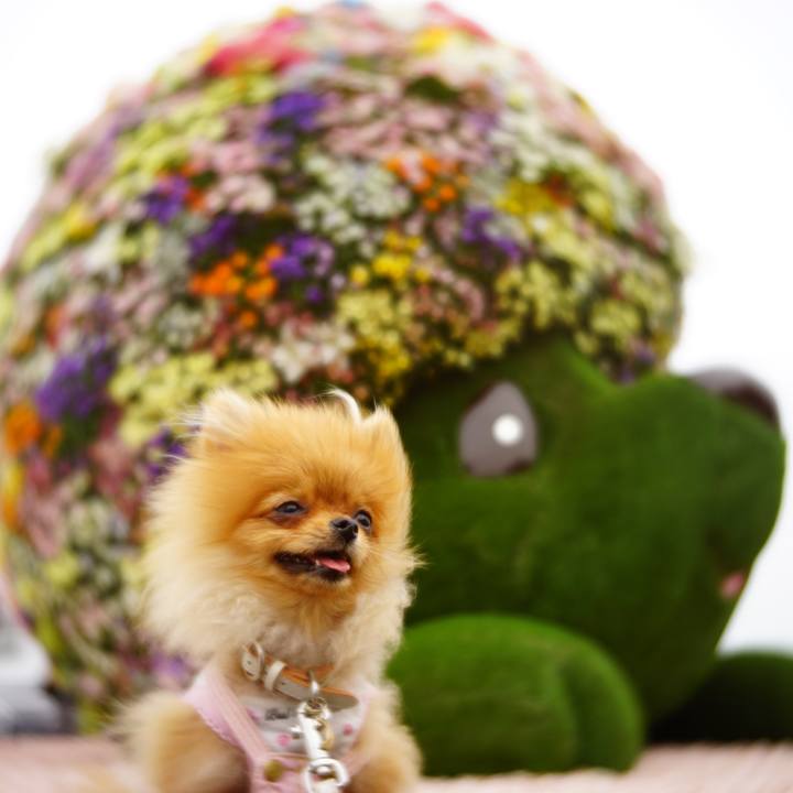 1144dff2 55da 4c3e a159 59026e511a5a