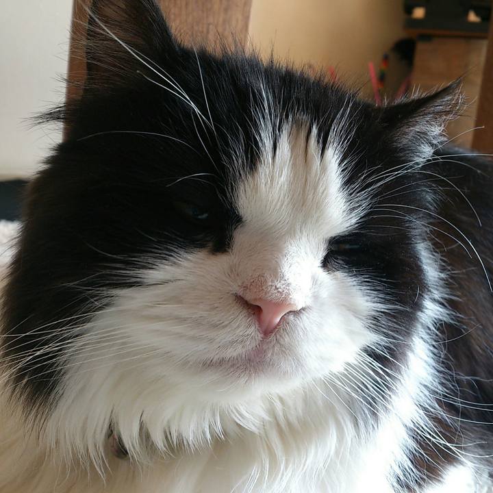 11467196 5444 41f7 80fe 5e410c239d0a