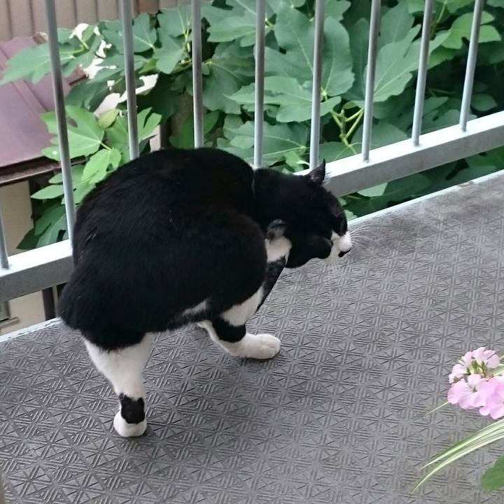 1146ad94 4762 4768 babd aa48c36059e2