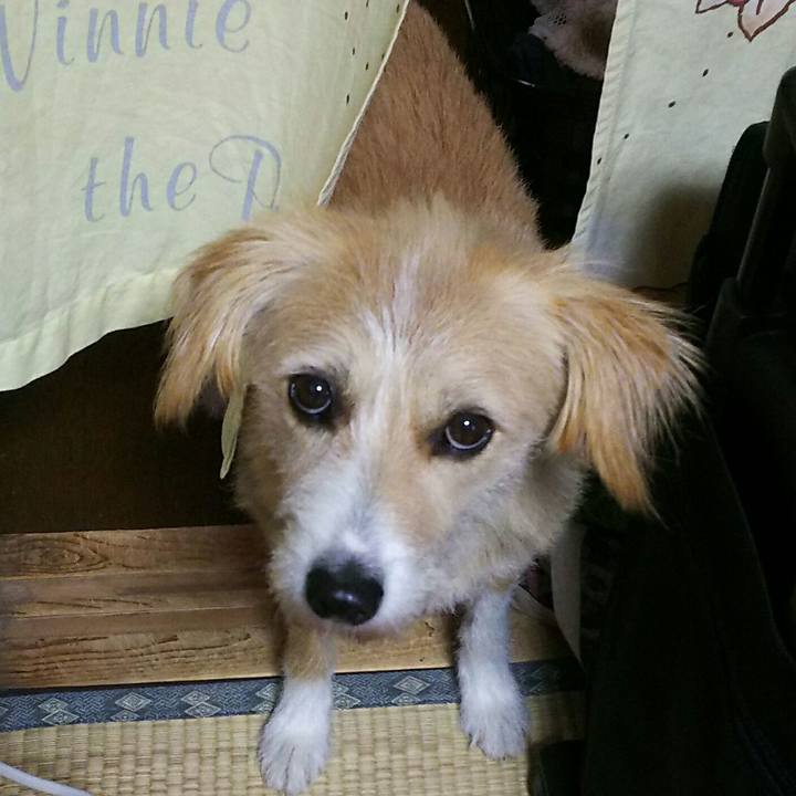 1146ddb8 8759 453b 9202 0f4b53fccff0