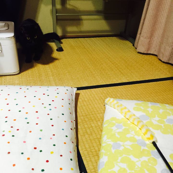 1146e844 64c0 486c 984d 3916fb04a09b