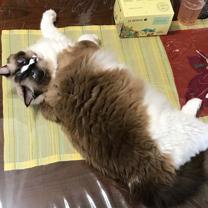 11470cbd 0136 4546 9dc3 ef2e44970d34